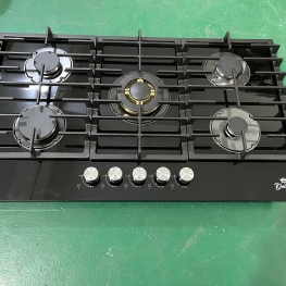 Gas stove