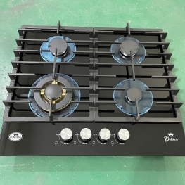 Gas stove